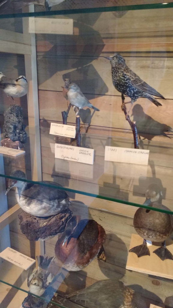 IMG_20160525_114524681