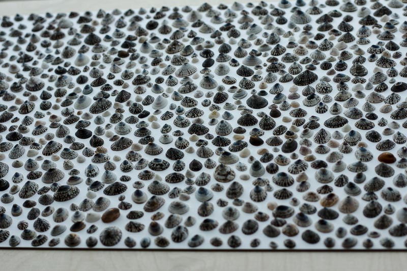 Hafnarhús art museum shells