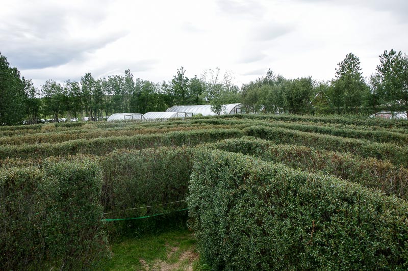 hedge maze overview