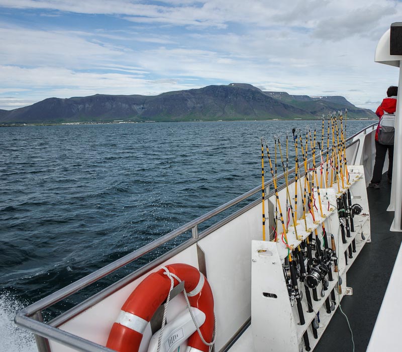 special fishing poles