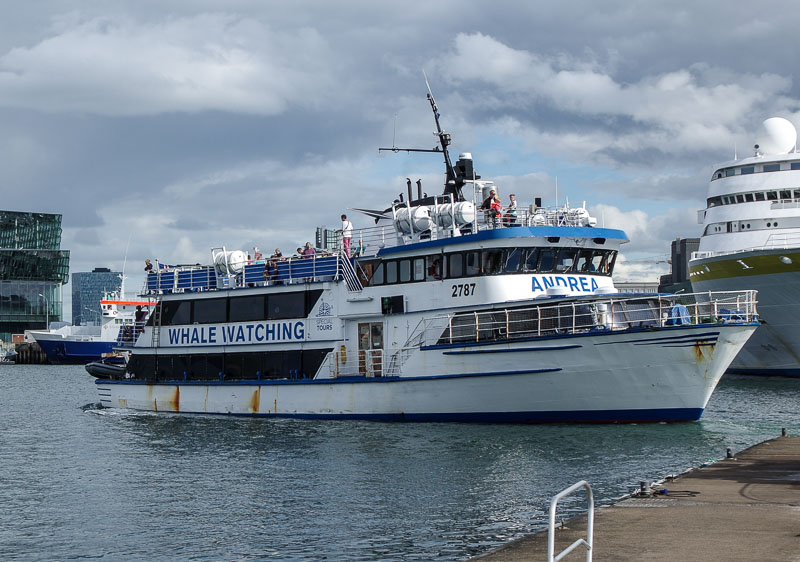 special whale boat bigger