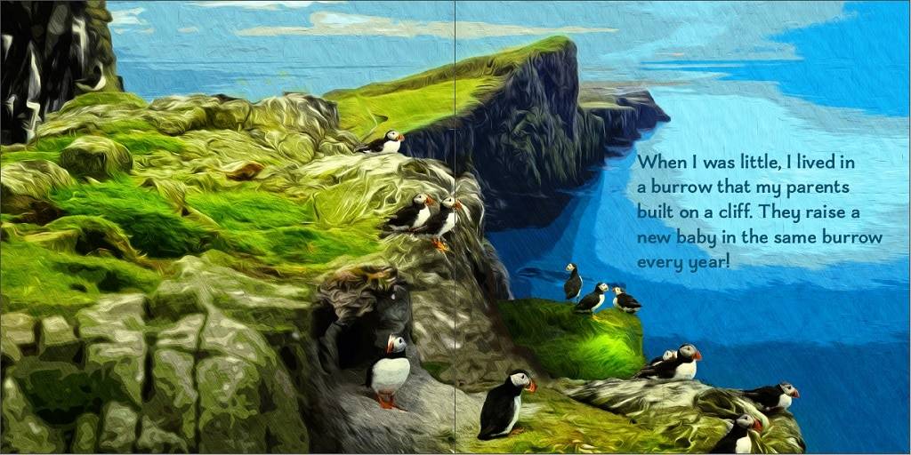 Lundi the lost puffin page